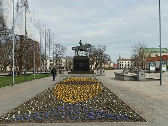 Sadzimy bratki, czyli Lublin w wiosennej odsłonie