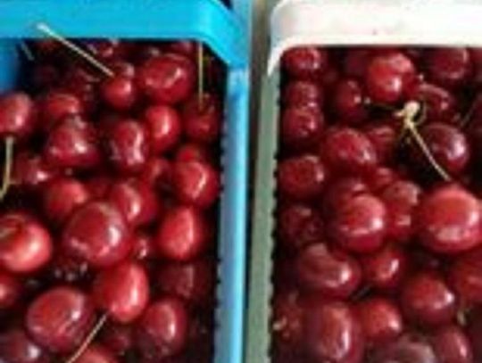 Sezon owocowy w pełni. Jak przedstawiają się ceny owoców?