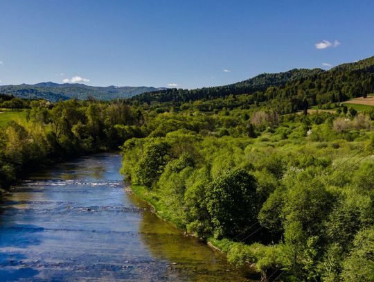 Spływy Sanem Zielony Ponton – co zabrać na wodną wyprawę?