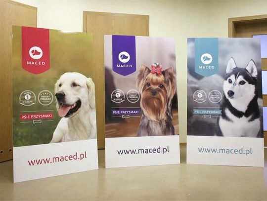 Stojaki reklamowe - czy warto inwestować w taką formę reklamy? *