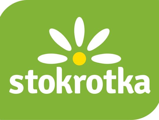 Stokrotka w gronie najlepszych pracodawców w Polsce