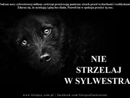 Strzelaj z głową