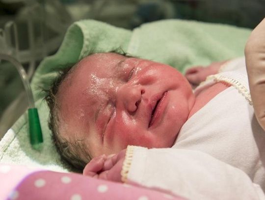 Światowy Dzień Wcześniaka