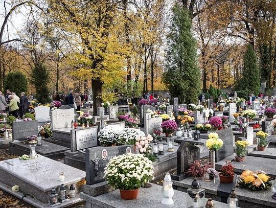 Szukasz grobu na cmentarzu? Pomoże wyszukiwarka  