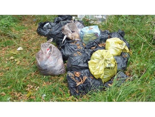 UKARANIE SPRAWCY PODRZUCENIA ODPADÓW PRZY UL. SKRZYNICKIEJ