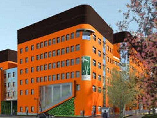 W poszukiwaniu skutecznej terapii - COZL * 