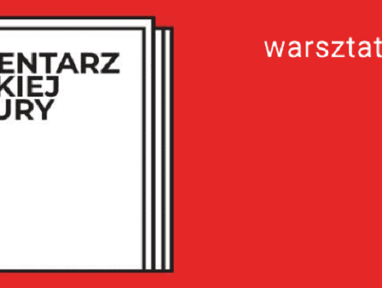 Warsztaty projektowania plakatów i tworzenia książek*