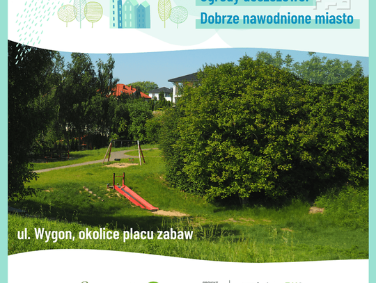 Wybrano lokalizacje projektów ogrodów deszczowych