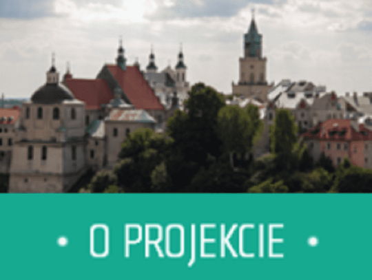 Wymyślmy wspólnie Lublin 2030 – przez internet*