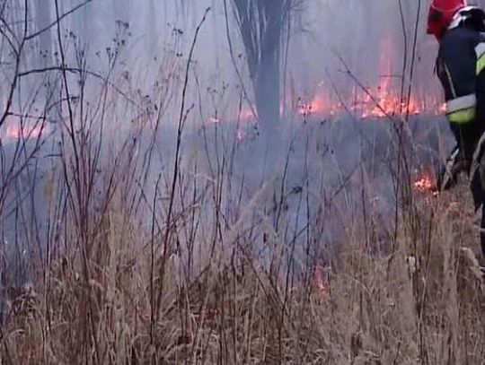 Wypalanie traw zmorą lubelskich strażaków