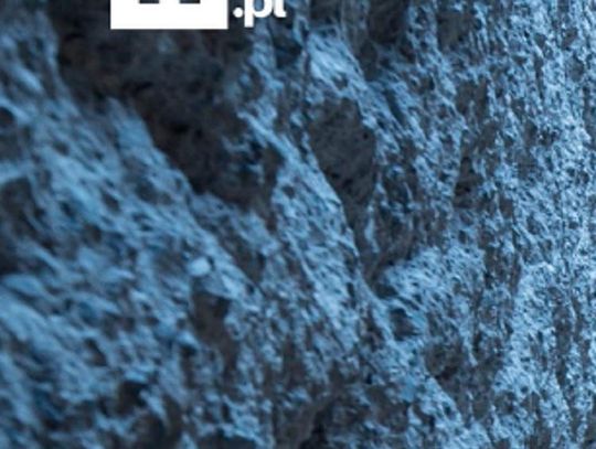 XI POLSKI ZJAZD FILOZOFICZNY *