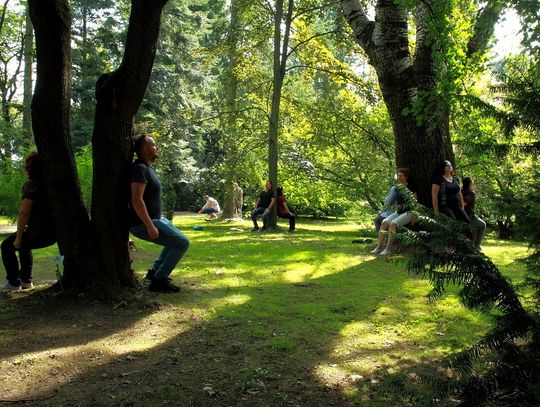 Zaproszenie na wydarzenia w Ogrodzie Botanicznym UMCS - spacer z przewodnikiem i piknik japoński
