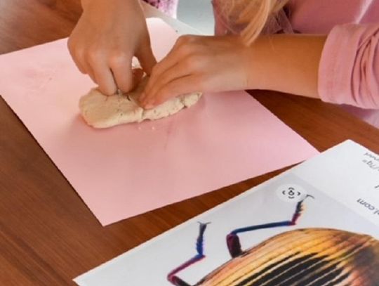 Zero Waste w domu – warsztaty ekologiczne Veolia Dzieciom