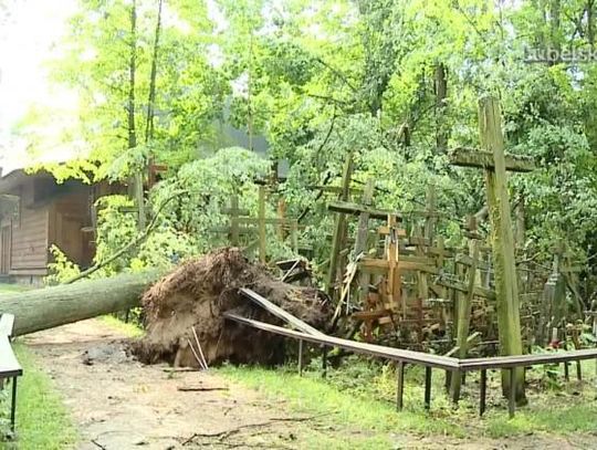 Zerwane dachy, powalone drzewa, zerwane linie energetyczne - straty po ubiegłotygodniowych burzach