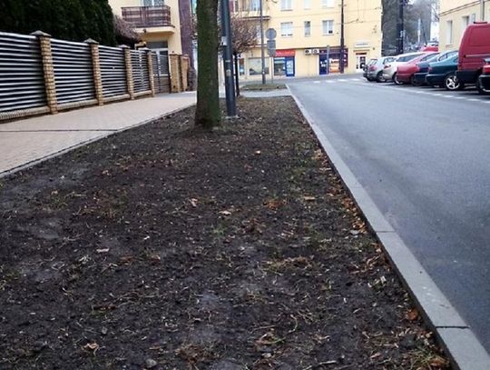 „Zielony Lublin” – realizacja projektu VI edycji BO