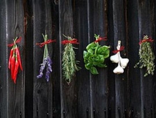 Ziołowy kącik w ogrodzie *