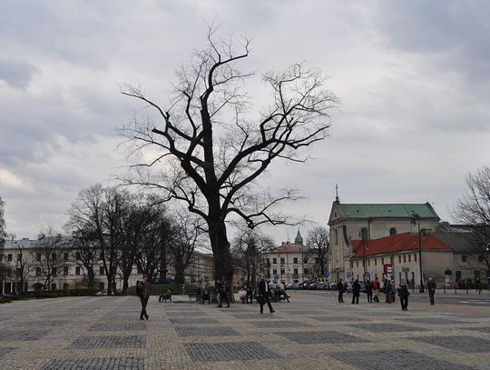 Znane są wyniki badań antropoligicznych cmentarza pod Placem Litewskim