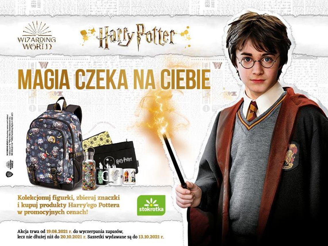 Akcja „Magia czeka na Ciebie” w Stokrotce