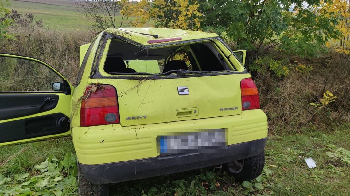 Dachowanie seata Dachowanie seata