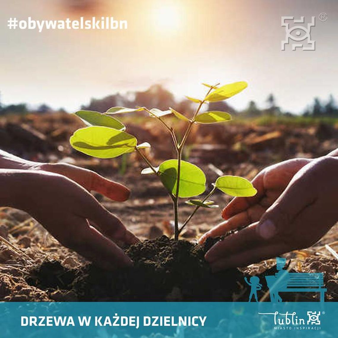 „Drzewa dla każdej dzielnicy” - trwa nabór wniosków „Drzewa dla każdej dzielnicy” - trwa nabór wniosków