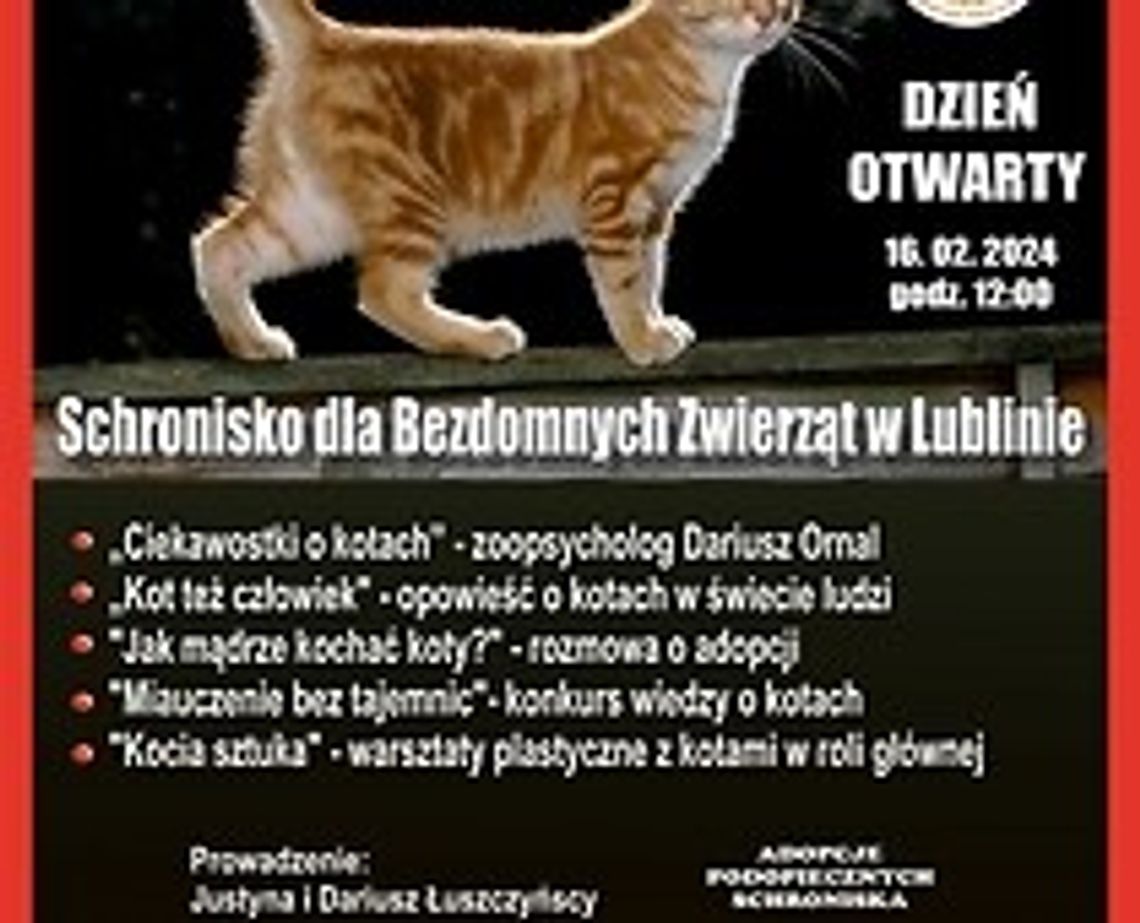 Dzień Otwarty w Schronisku dla Bezdomnych Zwierząt w Lublinie