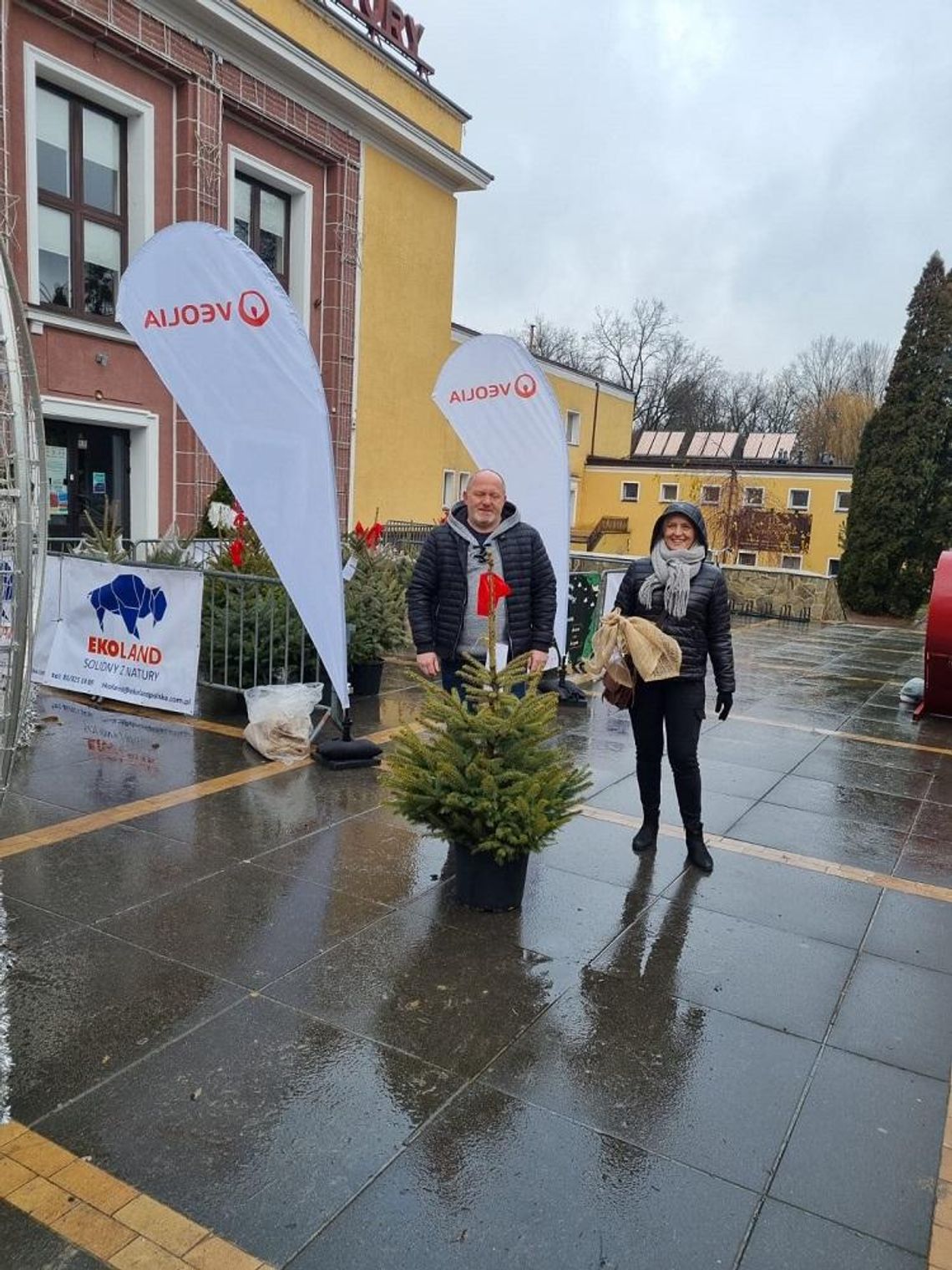 Ekoland i Veolia rozdały 150 choinek 