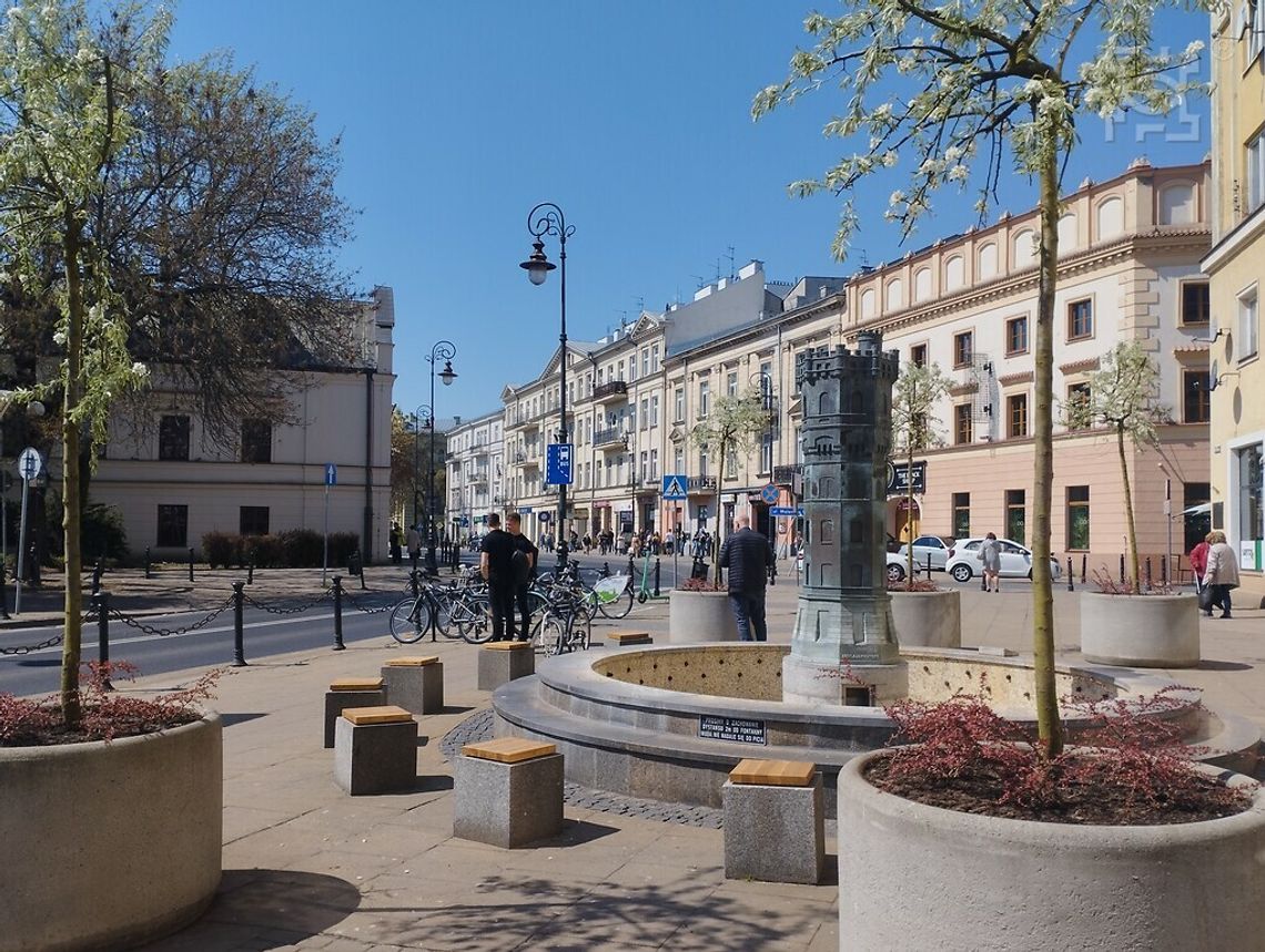 Grusze na placu Wolności, pnącza na Starym Mieście