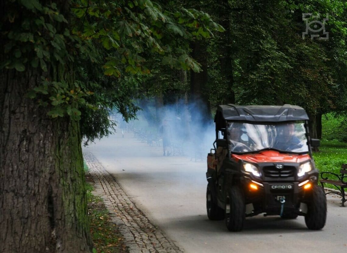 II etap odkomarzania terenów zielonych