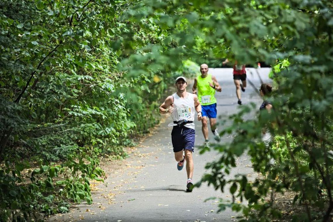 Jesienna edycja "Botanicznej Piątki" Jesienna edycja "Botanicznej Piątki"