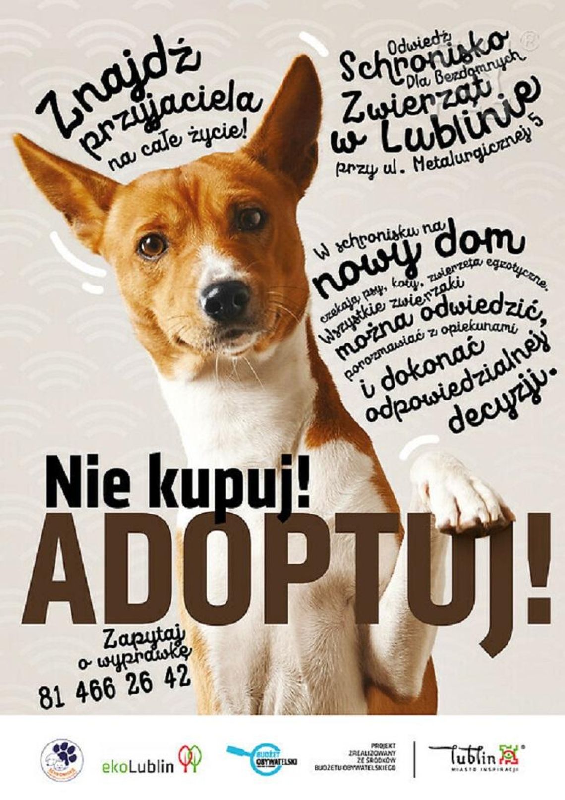 Kampania informacyjna „Nie kupuj! Adoptuj!” Kampania informacyjna „Nie kupuj! Adoptuj!”