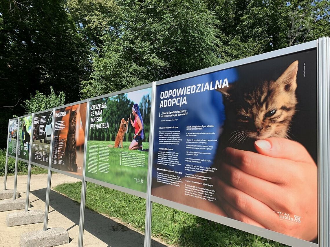 Każdy potrzebuje przyjaciela – wystawa w Ogrodzie Saskim Każdy potrzebuje przyjaciela – wystawa w Ogrodzie Saskim