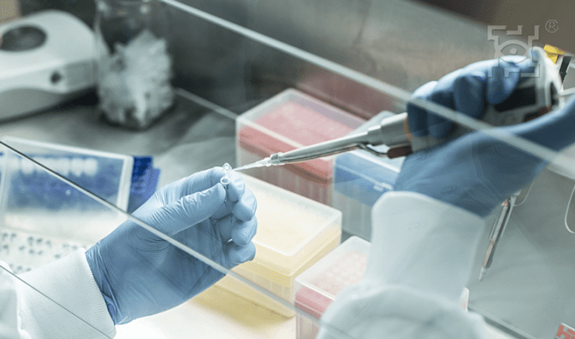 Lubelscy naukowcy na prestiżowej liście najlepszych badaczy z całego świata* Lubelscy naukowcy na prestiżowej liście najlepszych badaczy z całego świata*