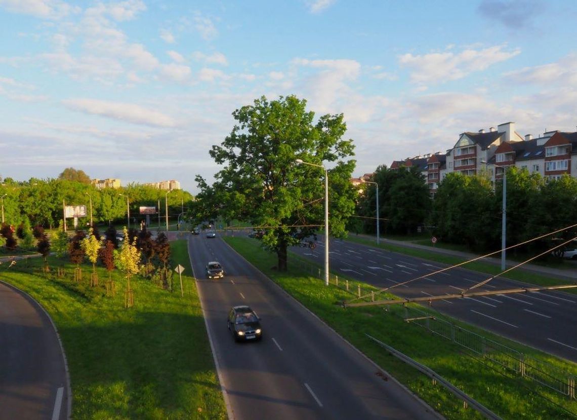 Lubelski dąb w konkursie na Drzewo Roku 2021. Trwa głosowanie. Lubelski dąb w konkursie na Drzewo Roku 2021. Trwa głosowanie.