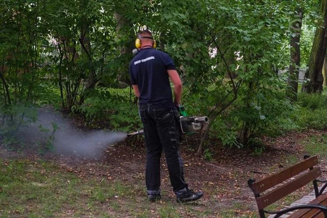 Miasto przeprowadzi akcję odkomarzania* Miasto przeprowadzi akcję odkomarzania*