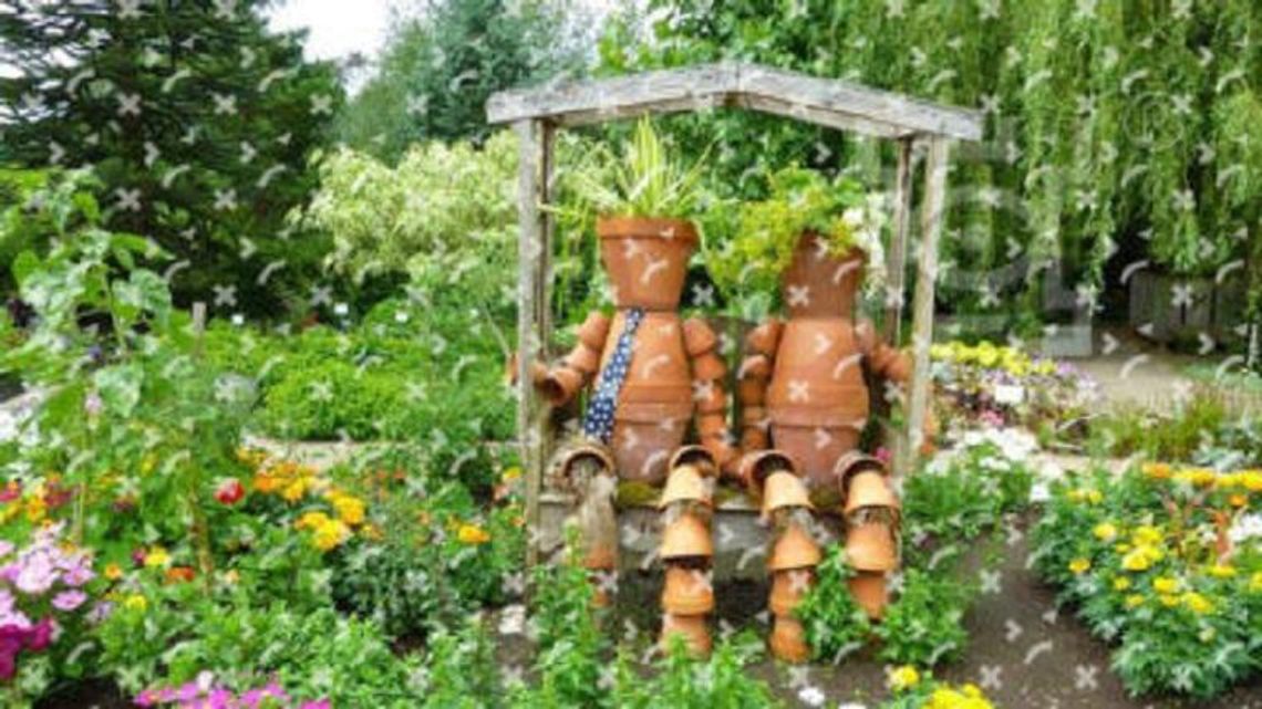 Miastoczułość w ogródku Miastoczułość w ogródku