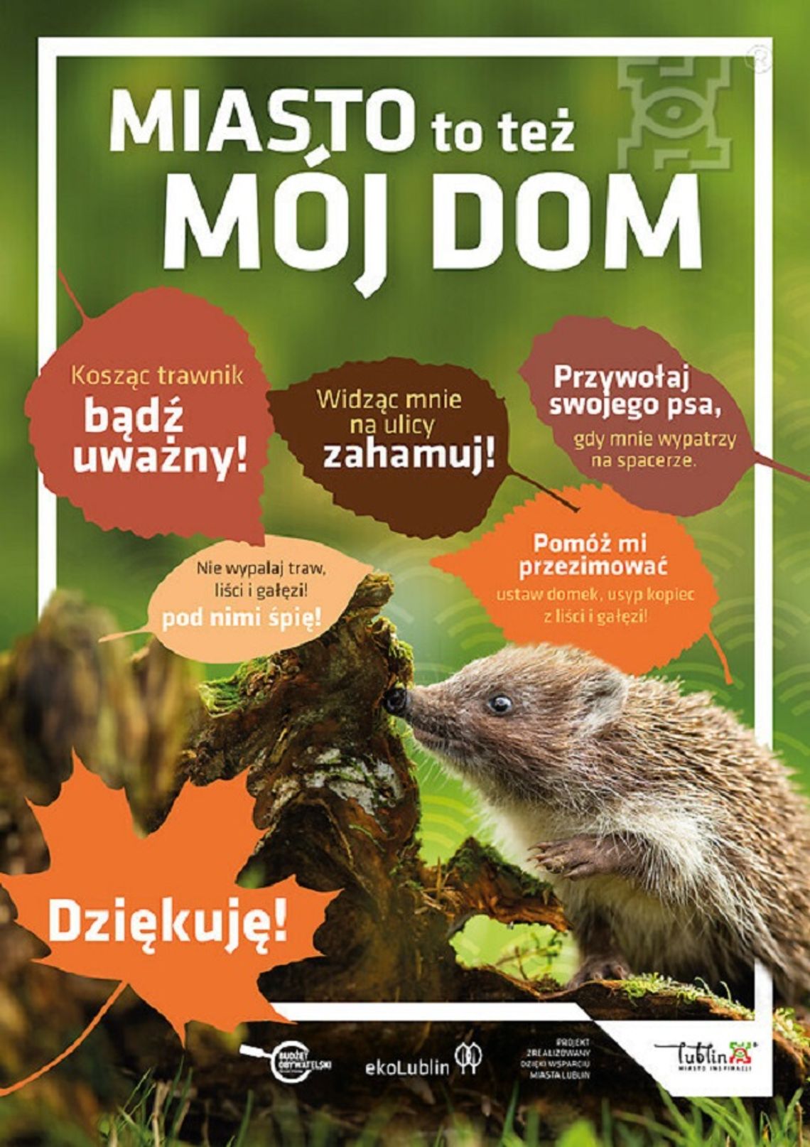 „Najeżony” konkurs „Najeżony” konkurs