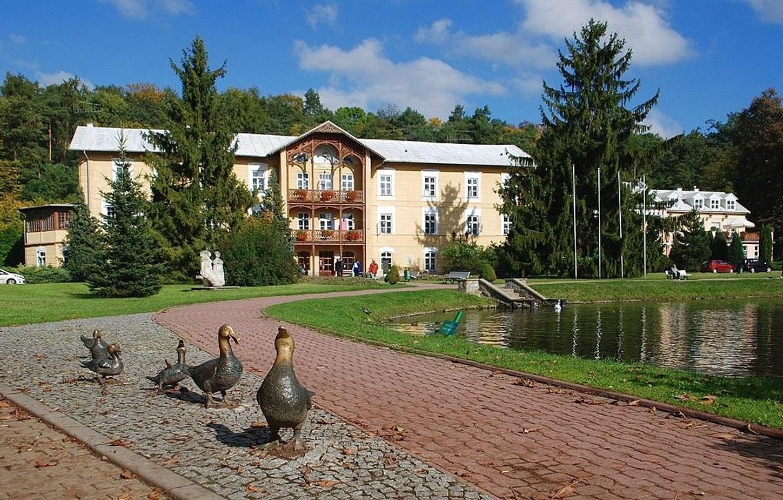 Nałęczowskie Werandki – podsumowanie prawie roku działalności *