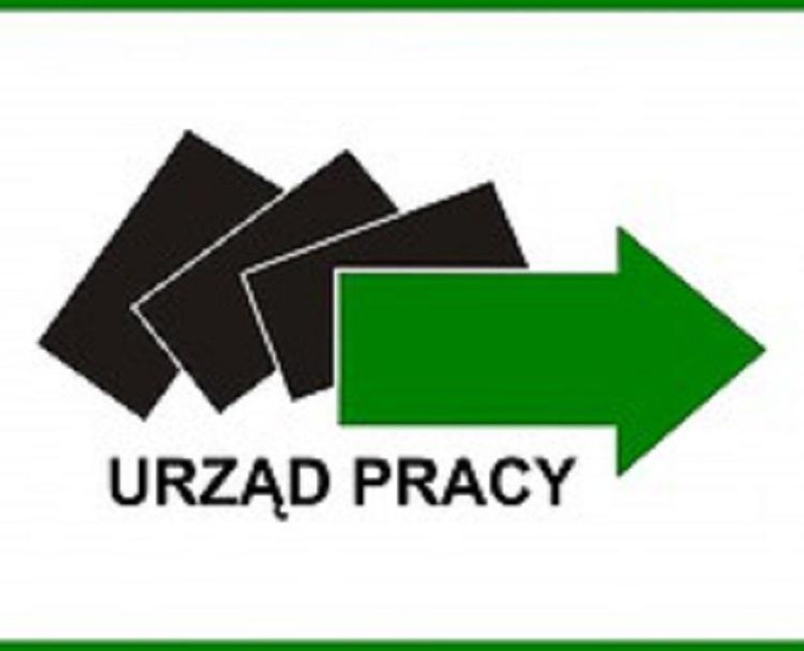 Obsługa klientów w MUP w Lublinie* Obsługa klientów w MUP w Lublinie*