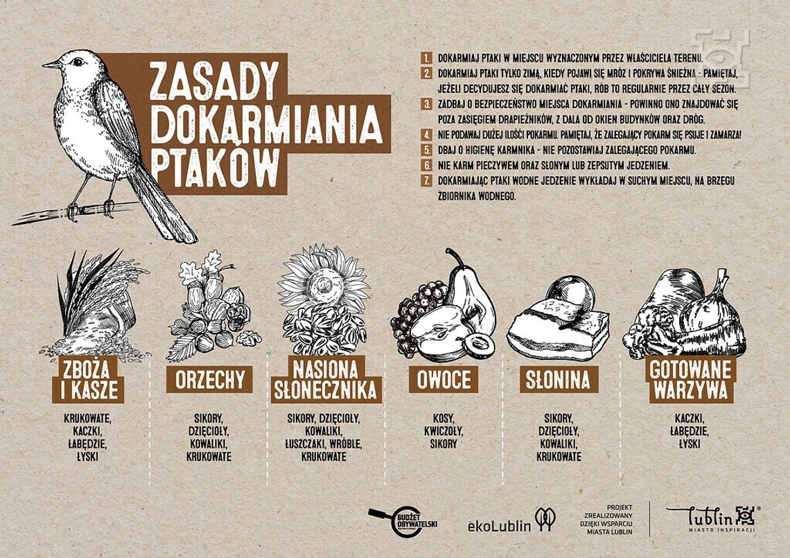 Odpowiedzialne dokarmianie ptaków zimą Odpowiedzialne dokarmianie ptaków zimą