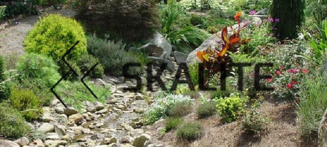 Ogródek skalny - jak prawidłowo go założyć samemu - Poradnik DIY *