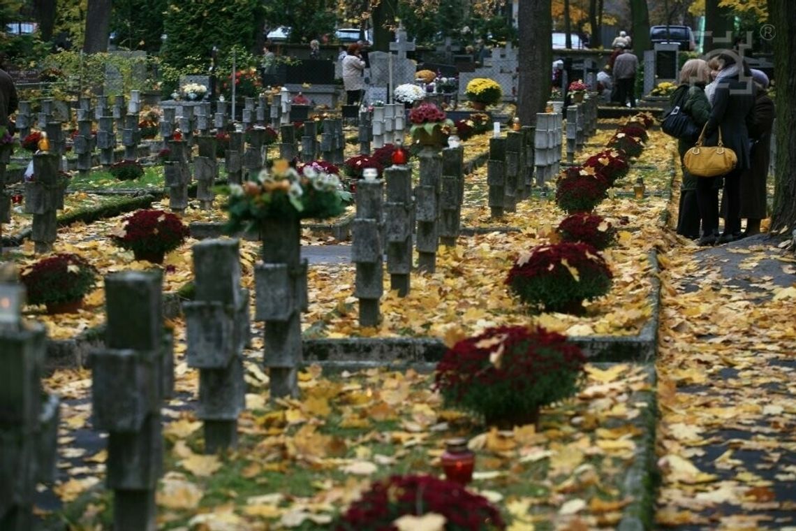 Organizacja ruchu w okresie Wszystkich Świętych Organizacja ruchu w okresie Wszystkich Świętych