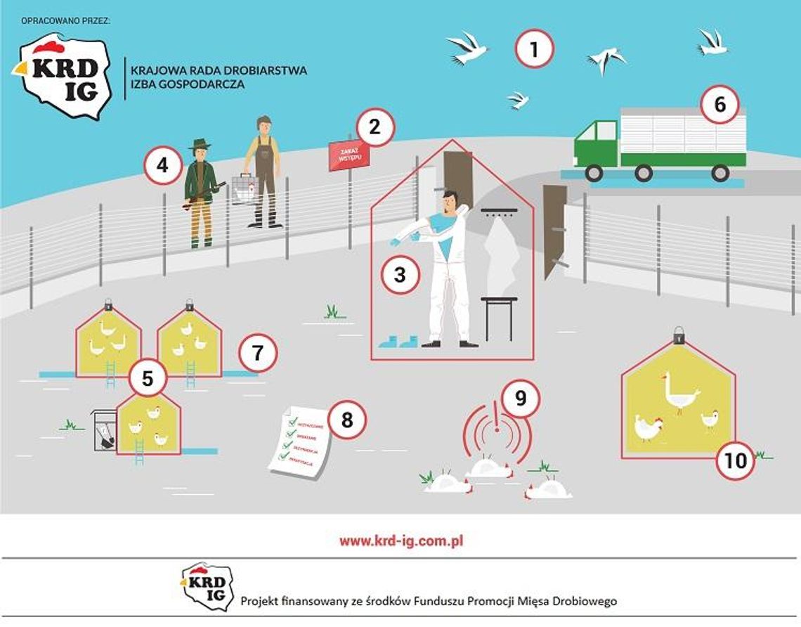 Oświadczenie Krajowej Rady Drobiarstwa –Izby Gospodarczej w sprawie wystąpienia w 2019 roku ogniska grypy ptaków u drobiu w Polsce * Oświadczenie Krajowej Rady Drobiarstwa –Izby Gospodarczej w sprawie wystąpienia w 2019 roku ogniska grypy ptaków u drobiu w Polsce *