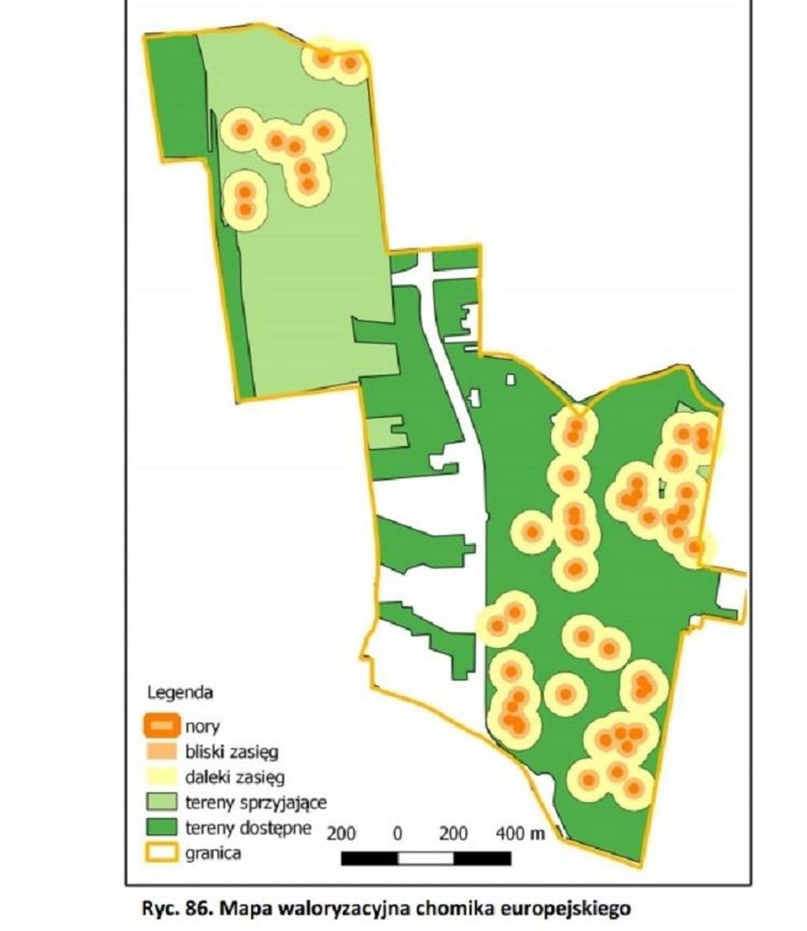 Plany zabudowy Górek do kosza - co jest w raporcie przyrodników? * Plany zabudowy Górek do kosza - co jest w raporcie przyrodników? *