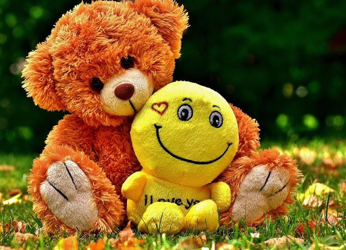 Pluszowe misie dla dziecięcych marzeń Pluszowe misie dla dziecięcych marzeń