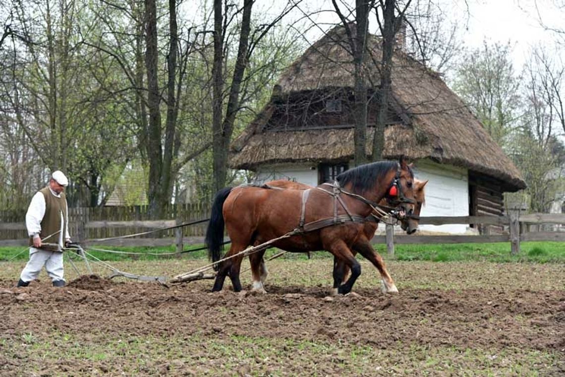 POKAZ WIOSENNYCH PRAC POLOWYCH