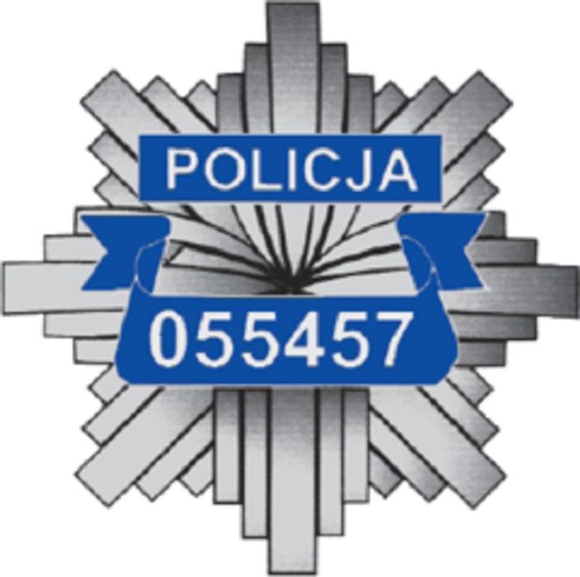 Policja informuje: Opole Lubelskie: Nietrzeźwy 23-latek podejrzany o znęcanie się nad rodzicami trafił do aresztu *