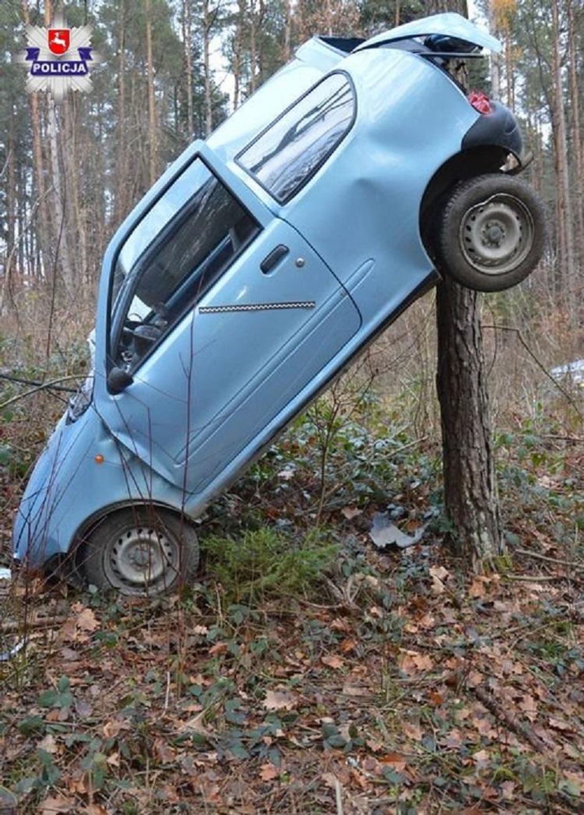 Policja informuje. Zamość: 86-latka fiatem zawisła na drzewie Policja informuje. Zamość: 86-latka fiatem zawisła na drzewie