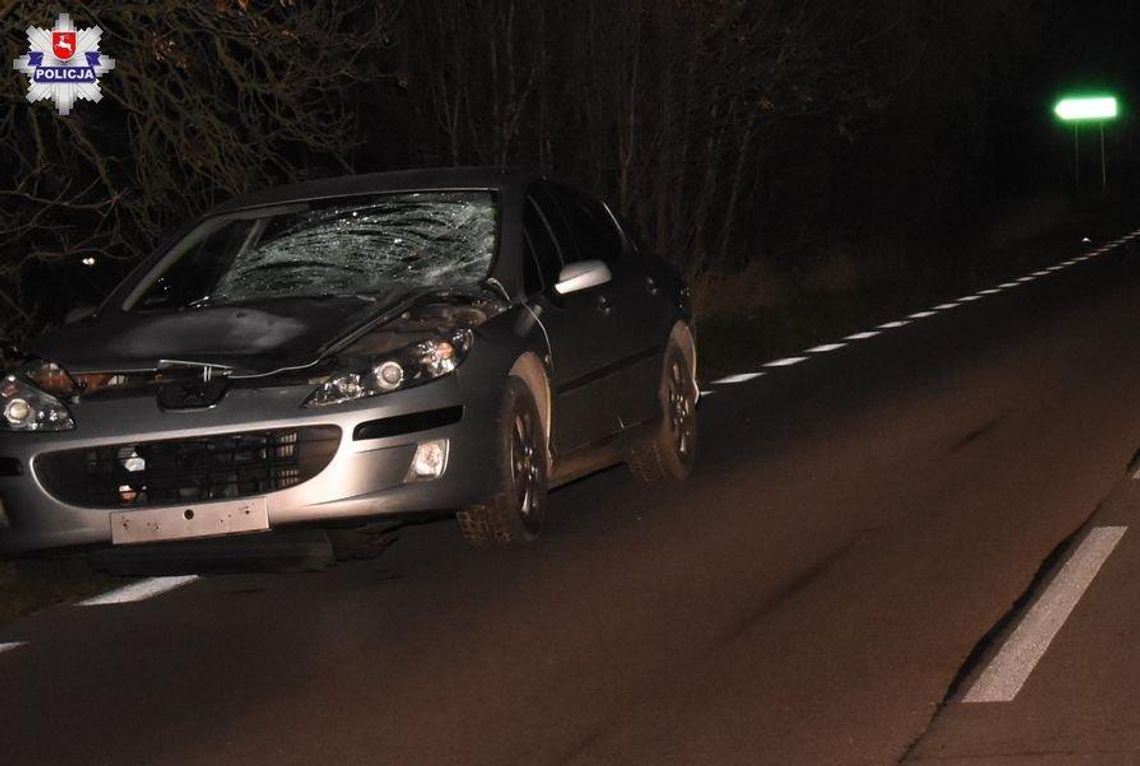 Policja ostrzega. Łuków: Tragiczny wypadek z udziałem pieszej Policja ostrzega. Łuków: Tragiczny wypadek z udziałem pieszej