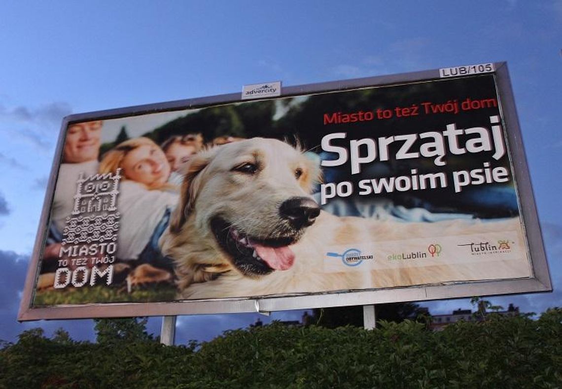 Psie kupy - odwieczny problem!