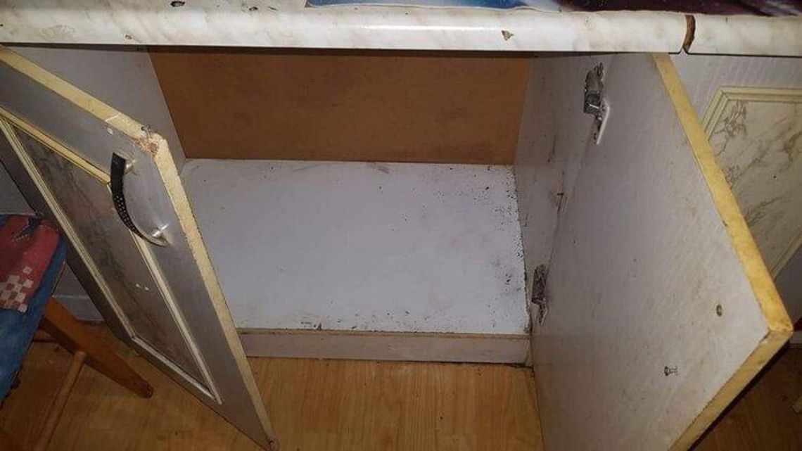 Psy zdradziły kryjówkę właściciela 